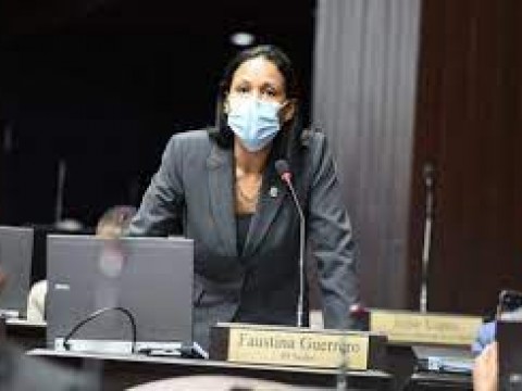 Grey Maldonado: Una legisladora discreta y de poca incidencia en la C&aacute;mara de Diputados