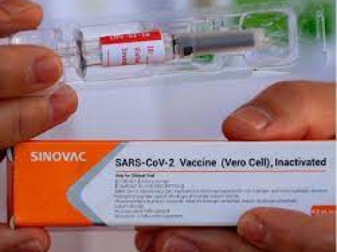 Vacuna Sinovac dentro de las aprobadas para entrar a EEUU