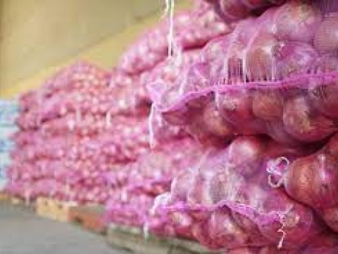 Denuncian podr&iacute;an perderse m&aacute;s de 120 mil quintales de cebollas criollas tras importaci&oacute;n del Gobierno