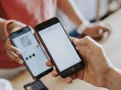  Nueva aplicaci&oacute;n web gratuita, para portar tarjeta de vacunaci&oacute;n 