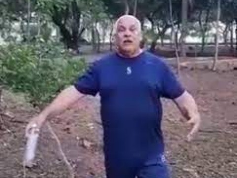 Jaime David denuncia la poda de &aacute;rboles en parque Mirador Sur