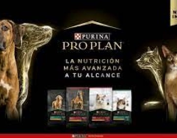 ''PRO PLAN'', la nutrici&oacute;n m&aacute;s avanzada para perros y gatos, se renueva