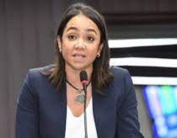 Faride Raful sobre el caso Falc&oacute;n: &ldquo;As&iacute; se construye institucionalidad&rdquo;