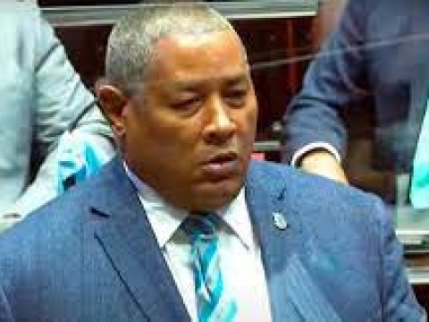 Diputado Nelson Feliz Feliz: &ldquo;Yo lo que he acumulado es deuda con esta vaina&rdquo;