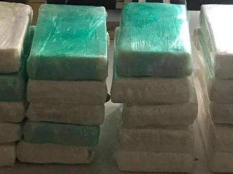 Incautan 61 kilos de coca en contenedor proveniente de República Dominicana