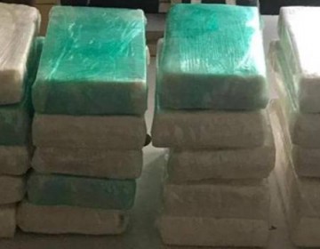 Incautan 61 kilos de coca en contenedor proveniente de República Dominicana