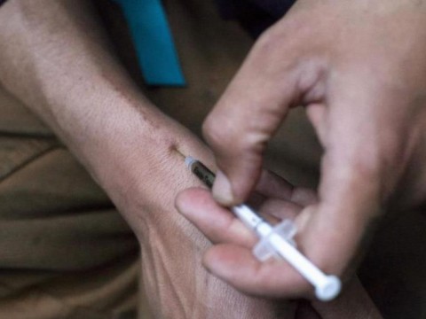 EE.UU. dispara contra la xilacina, un sedante animal utilizado como droga