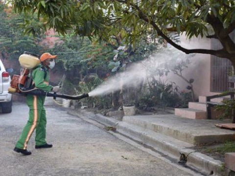 La capital y seis provincias concentran el 63 % de los casos de dengue