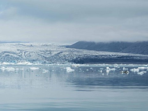 El oc&eacute;ano &Aacute;rtico permaneci&oacute; abierto a la vida durante las glaciaciones