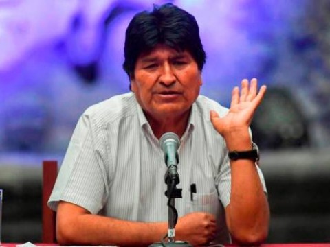 Movimiento al Socialismo saluda informe como prueba de que no hubo fraude
