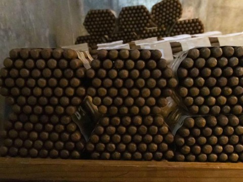 Exportaciones del agro caen 5.8 % en el primer trimestre tras bajas en cacao, banano y tabaco