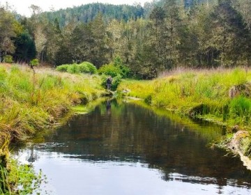 Medio Ambiente Proh&iacute;be actividad agr&iacute;cola y ganadera en Valle Nuevo