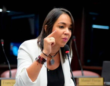 Las tres causales: Faride Raful dice &laquo;No estamos derrotados&raquo; 