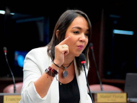 Las tres causales: Faride Raful dice &laquo;No estamos derrotados&raquo; 