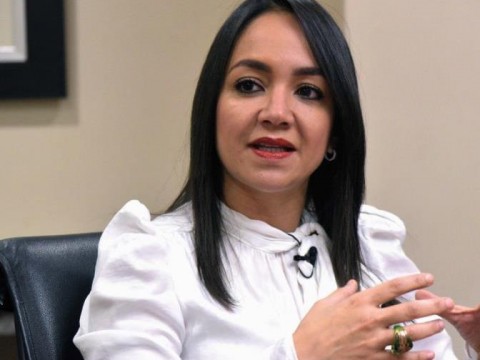 Faride deposita proyecto para que salarios por debajo de RD$46,519 no paguen impuestos