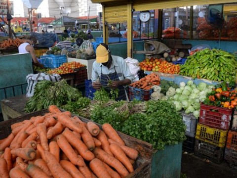 Latinoam&eacute;rica y el papa piden cambios globales en los sistemas alimentarios