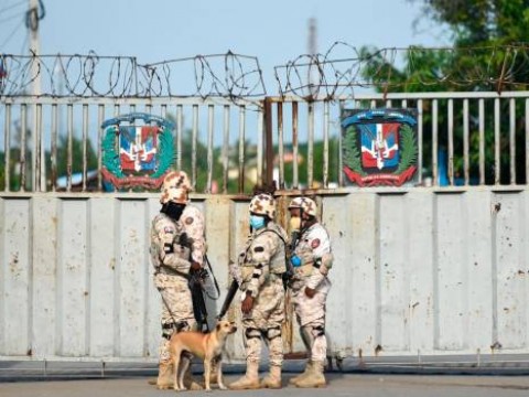 La perra Firulais, la primera al frente en la frontera con Hait&iacute;
