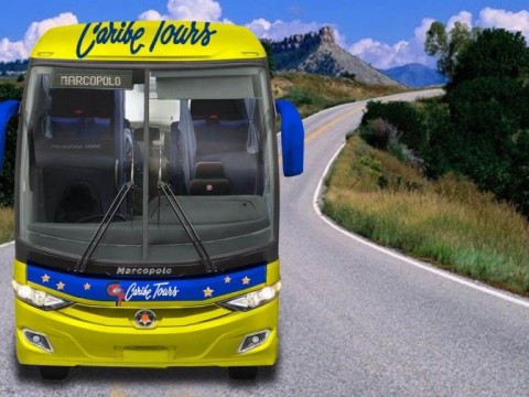Empresas de transporte suspenden viajes a Hait&iacute; por cierre de la frontera