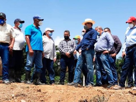 Agricultura implementar&aacute; medidas para impulsar agropecuaria de regi&oacute;n Este del pa&iacute;s