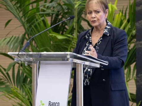 Gloria Abraham observa que el pa&iacute;s "no ha tomado medidas" para incentivar el arroz ante el DR-Cafta