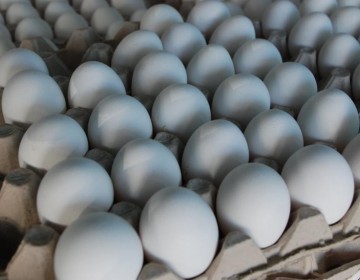 El Gobierno dominicano proh&iacute;be por 15 d&iacute;as la exportaci&oacute;n de huevos hacia Hait&iacute;