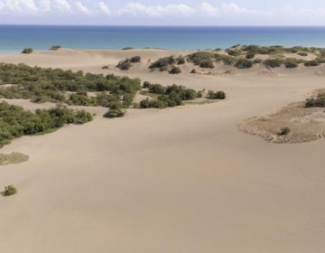 Delitos ambientales: Las dunas de Ban&iacute;, en peligro