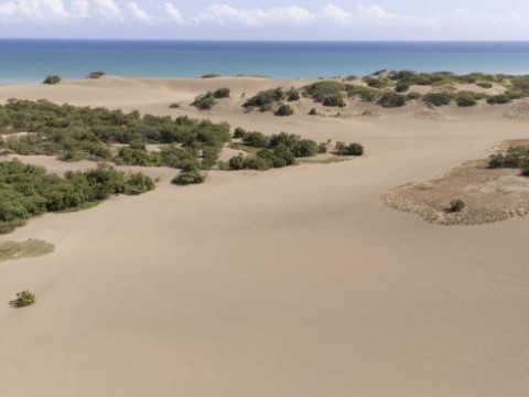 Delitos ambientales: Las dunas de Ban&iacute;, en peligro