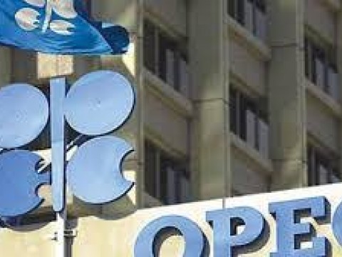 OPEP cumple 60 a&ntilde;os debilitada por la baja demanda de petr&oacute;leo
