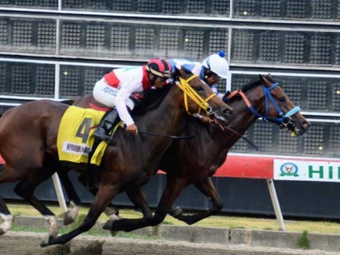 El Pool paga casi 72 mil pesos en el Quinto Centenario