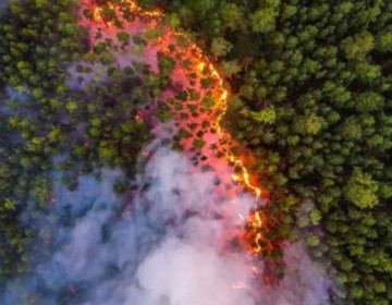 Incendios en regi&oacute;n rusa cerca de Mosc&uacute; abarcan casi 20,000 hect&aacute;reas