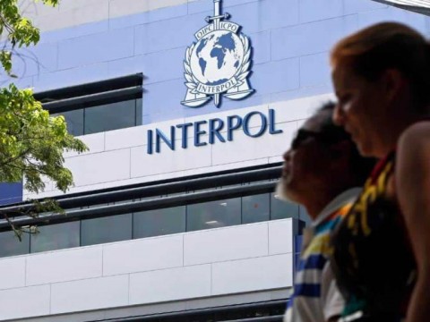 Interpol arresta a 365 personas implicadas en el tr&aacute;fico de animales y plantas protegidos