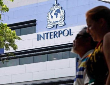 Interpol arresta a 365 personas implicadas en el tr&aacute;fico de animales y plantas protegidos