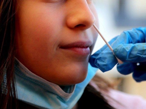 Panam&aacute; llega a las 8,568 muertes y 1,023,778 contagios por la COVID-19