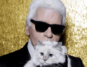 La gata de Lagerfeld ser&aacute; la principal heredera de su fortuna
