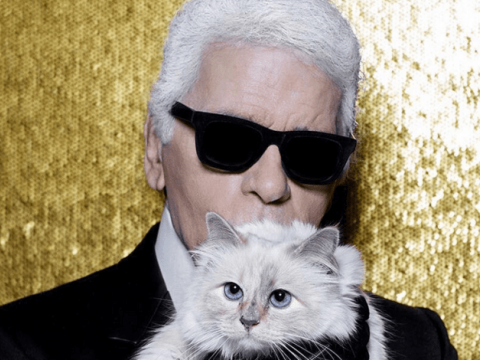 La gata de Lagerfeld ser&aacute; la principal heredera de su fortuna