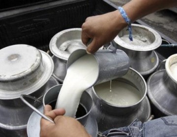 Industria de productos l&aacute;cteos genera m&aacute;s de 4,300 empleos formales en Rep&uacute;blica Dominicana