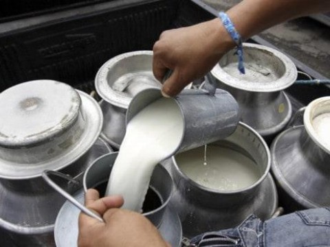 Industria de productos l&aacute;cteos genera m&aacute;s de 4,300 empleos formales en Rep&uacute;blica Dominicana