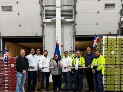 Llegan a puerto de EE. UU. primeros furgones de uvas de mesa dominicana