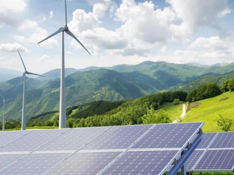 Los combustibles f&oacute;siles no podr&aacute;n ser sustituidos por energ&iacute;as renovables, seg&uacute;n la OPEP