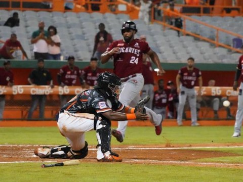 Los Gigantes del Cibao se imponen 4-2 a los Toros