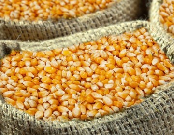 Alzas en materias primas tienen en jaque la econom&iacute;a