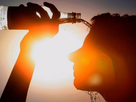 Mas de mil personas han muerto en Francia por la ola de calor