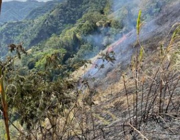 Medio Ambiente dice está controlado incendio que destruyó al menos 90 tareas de bosques en Ocoa