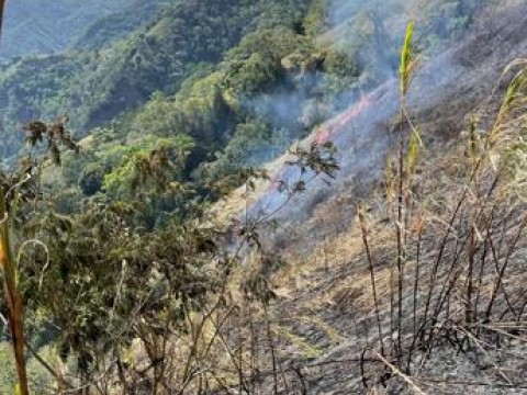 Medio Ambiente dice está controlado incendio que destruyó al menos 90 tareas de bosques en Ocoa