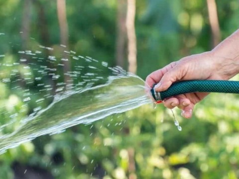 Llaman a residentes de Nueva Jersey a conservar el agua en medio de vigilancia por sequ&iacute;a