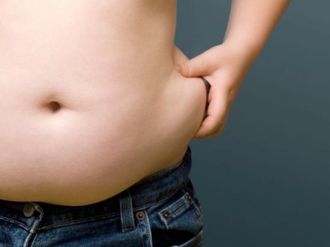 Entidades anuncian operativo de asesor&iacute;a a personas que sufren o padecen obesidad