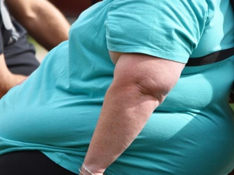 Hait&iacute; y RD ocupan primeros lugares en obesidad en AL
