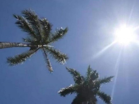 Escasas lluvias y temperaturas calurosas este jueves