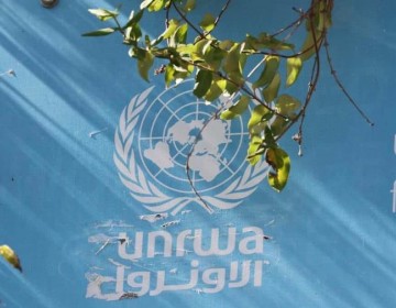 Organizaci&oacute;n de la ONU para las Migraciones: "No podemos sustituir a la UNRWA en Gaza"