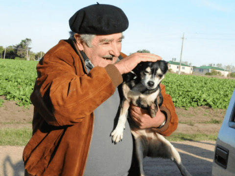 Pepe Mujica ser&aacute; enterrado junto a su perra "Manuela", como fue su &uacute;ltimo deseo